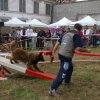 foire-haricots 2011-09-17et18